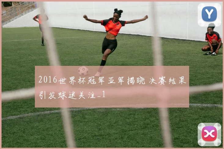 2016世界杯冠军亚军揭晓 决赛结果引发球迷关注_1