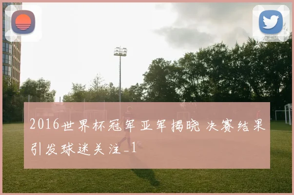 2016世界杯冠军亚军揭晓 决赛结果引发球迷关注_1