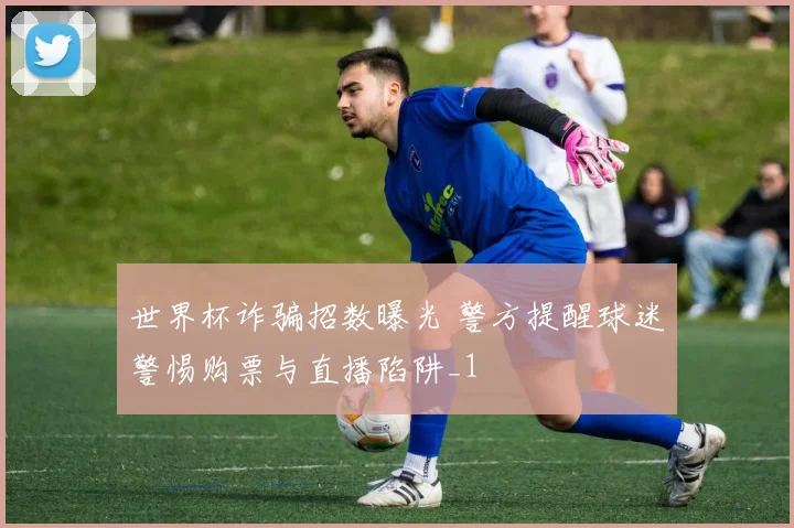 世界杯诈骗招数曝光 警方提醒球迷警惕购票与直播陷阱_1